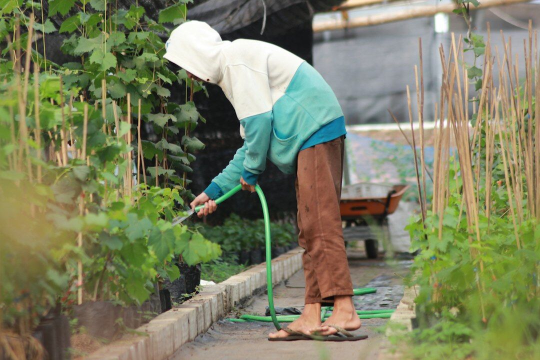 elderly woman watering plants