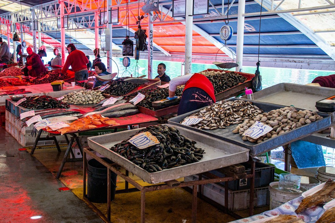 hidden market in concepcion chile